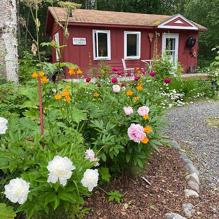 Trapper John'S Cabin & Cottages Talkeetna Exterior foto